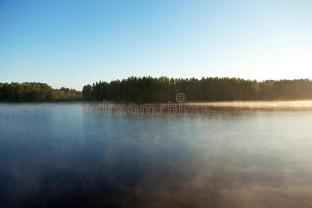 森林湖泊的表面结构。背景，地表水。雾蒙蒙的湖