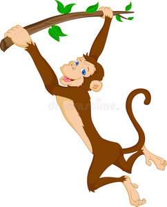 可爱的猴子吊