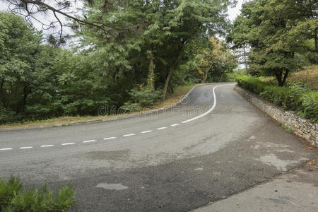 林间铺路