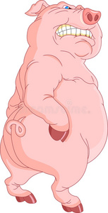 愤怒的猪卡通照片
