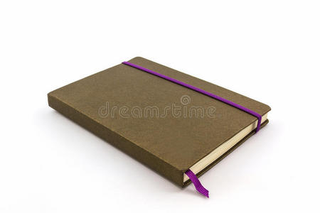 棕色日记本。