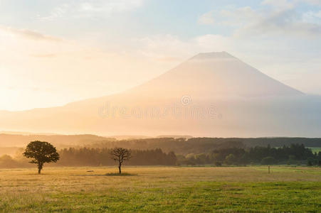 富士山