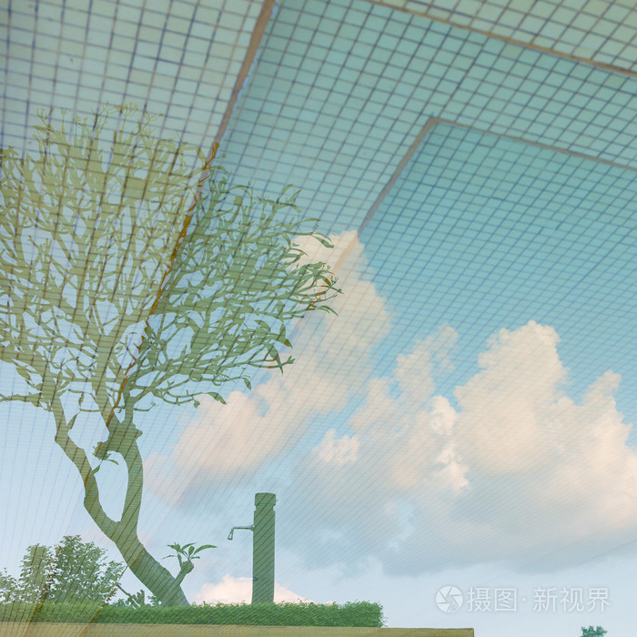 反射的天空和树在游泳池里的水