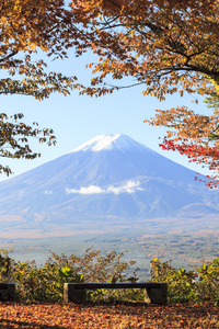 与秋天颜色在日本富士山