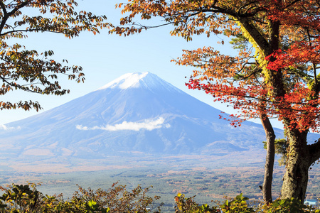 与秋天颜色在日本富士山