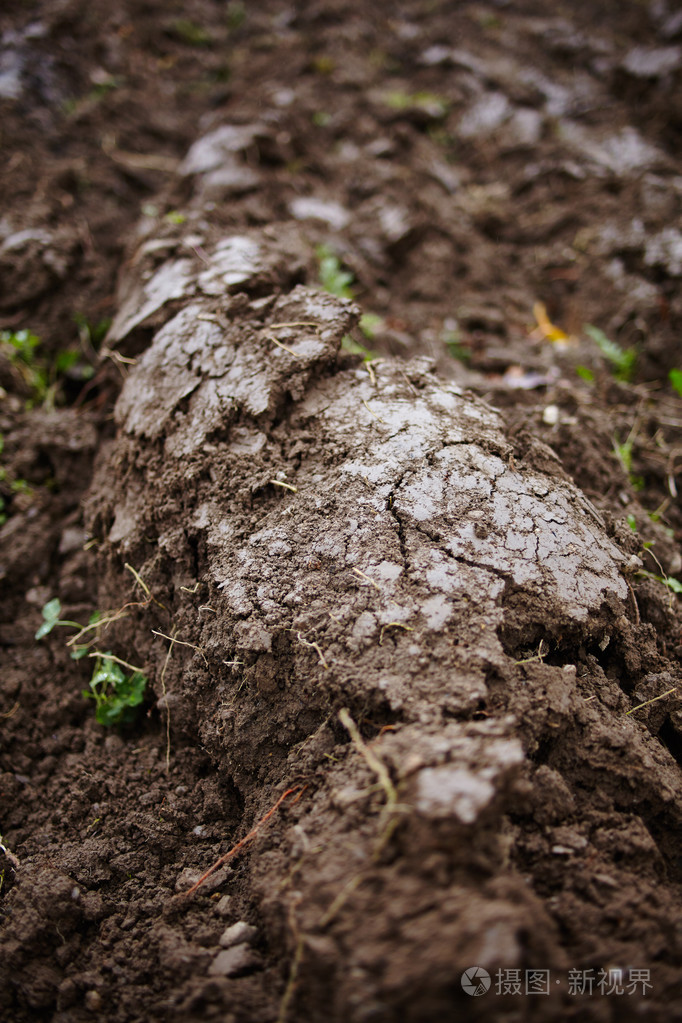 农村的土壤被压得住了