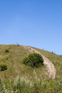 上山的路