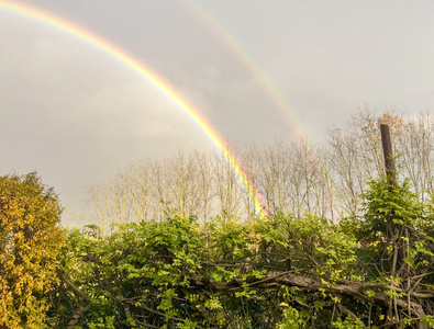 双重彩虹在家里的花园里