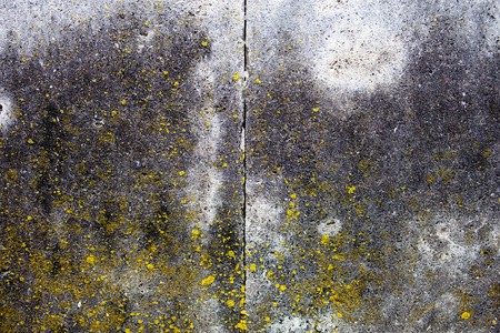 混凝土表面与苔藓, 块连接线和丰富的纹理