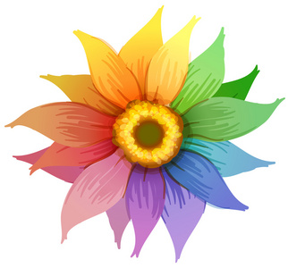 色彩缤纷的花卉模板图片