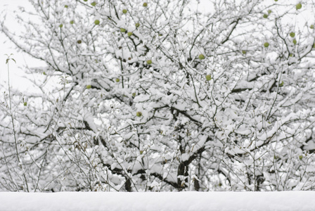 背景雪