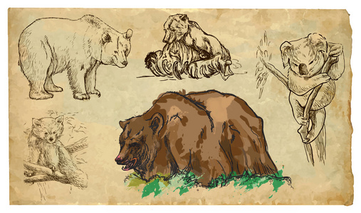 动物，主题 熊手绘制的矢量包