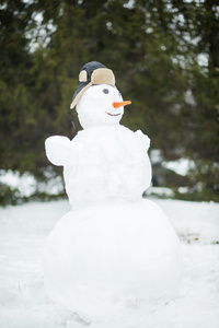 在森林里的搞笑雪人