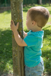 孩子爬到一棵树