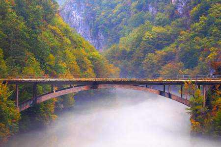 在山中的秋景