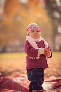 可爱的小孩女孩的美丽户外秋季肖像