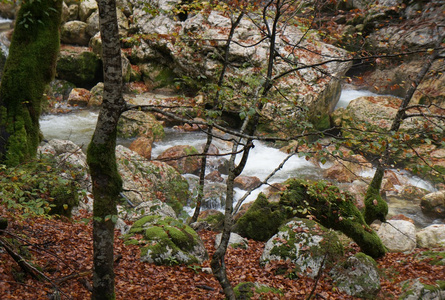 山区河流