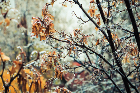 雨夹雪气候图标设置与雪, 雷阵雨, 雨夹雪和其他雷暴元素.