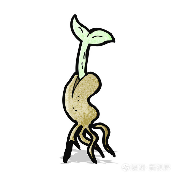 可爱的卡通苗