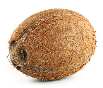 棕色成熟椰子
