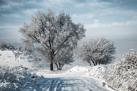 雪路