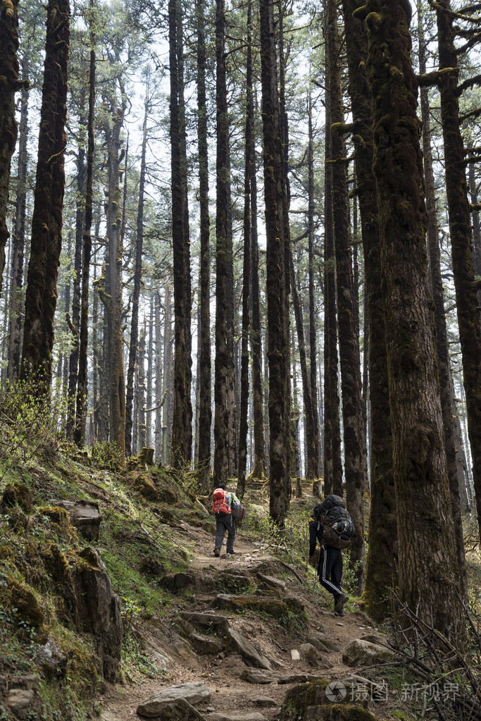 两名男子在山原始森林徒步旅行