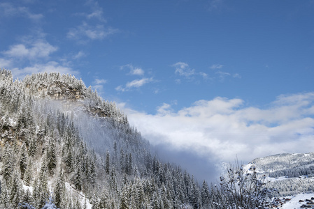 高山景观与岩石山锥林