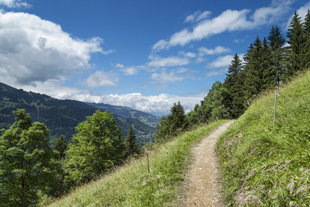 徒步旅行路线在绿色的高山森林