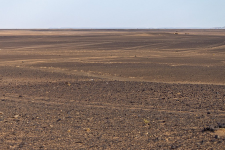 沙漠撒哈拉