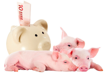 仔猪和储钱罐里 10 欧元的钱。在隔离。Inv