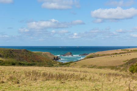 查看对波思 Mear 附近 Porthcothan 北康沃尔郡英格兰英国