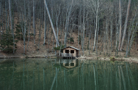 山中小屋中反射