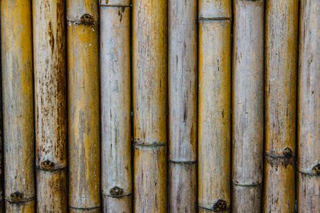 竹篱笆背景