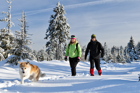 夫妇和狗在冬天山徒步旅行