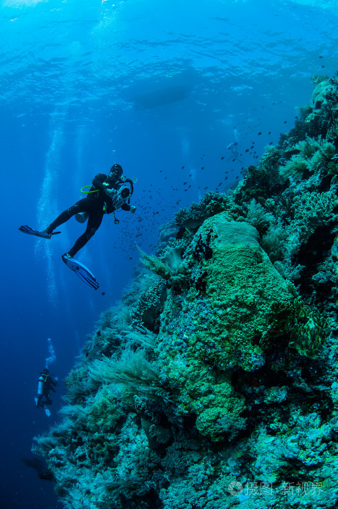 潜水员在印度尼西亚班达水下照片游泳