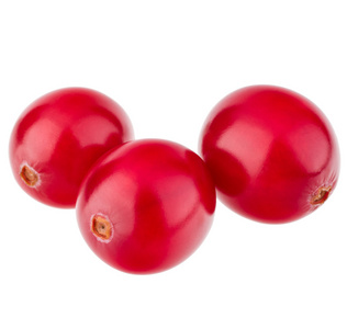酸果蔓的红色浆果
