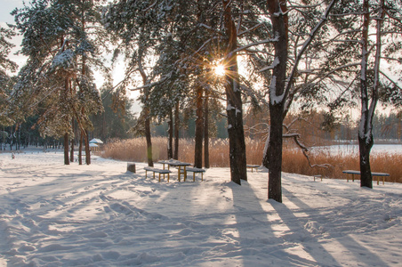 湖边冬季公园里的日落