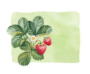 水彩草莓布什