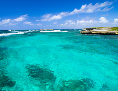 海滩和热带海