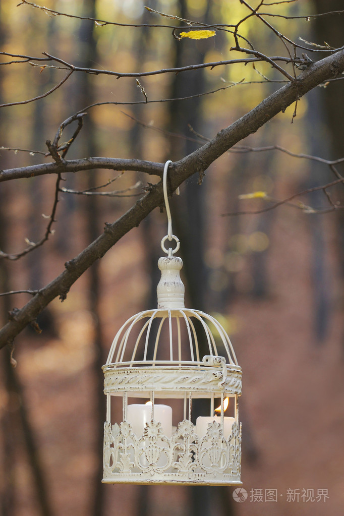 老式的鸟笼挂在树枝,里面的白色蜡烛