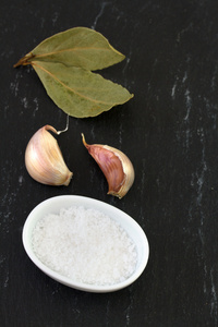 盐在碗中用大蒜和月桂叶