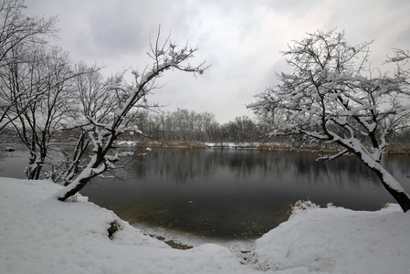 冬季景观