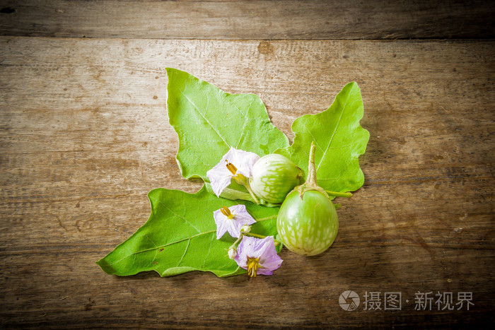 茄子 叶子和花