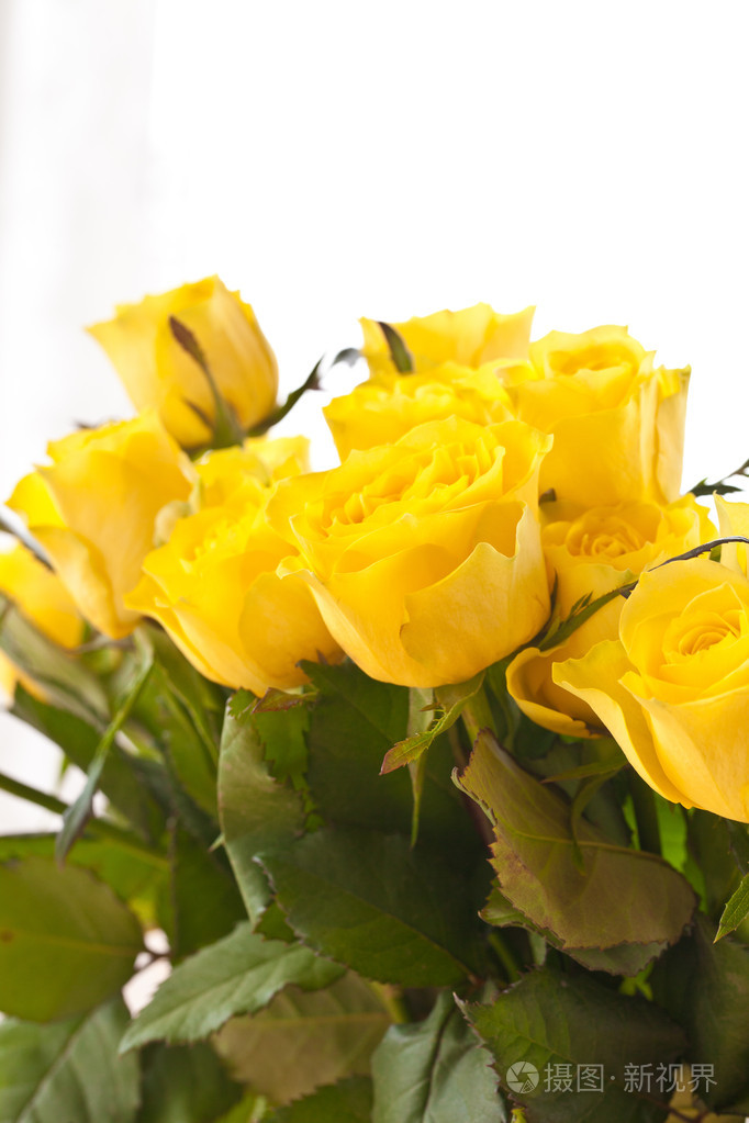 暂无图片作者barbaraneveu新媒体授权标准授权扩展授权如何选择jpg大