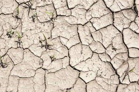 开裂的地球质地延长了干旱