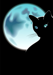 猫胡子图片卡通黑猫照片