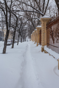 白雪覆盖的冬季公园