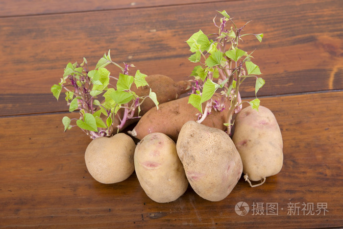 发芽的土豆照片-正版商用图片1hoj0d-摄图新视界