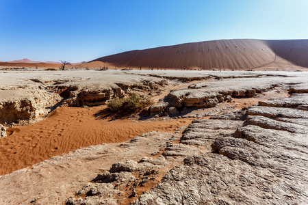 死亡之谷 Sossusvlei 亮丽的风景线