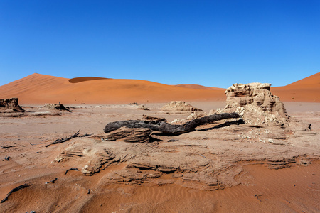 死亡之谷 Sossusvlei 亮丽的风景线